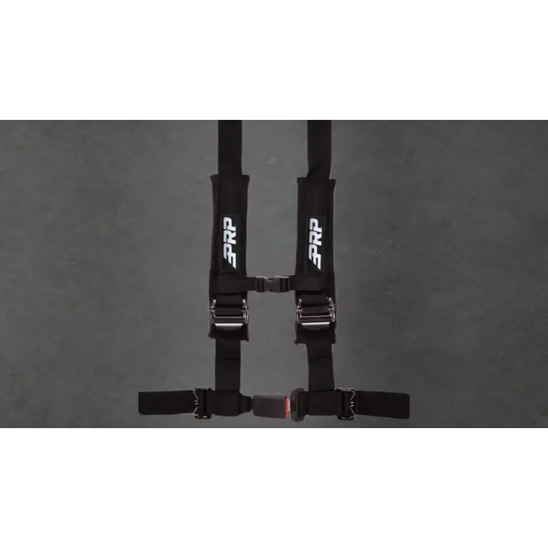 4.2 Harness, New Glory — view 2