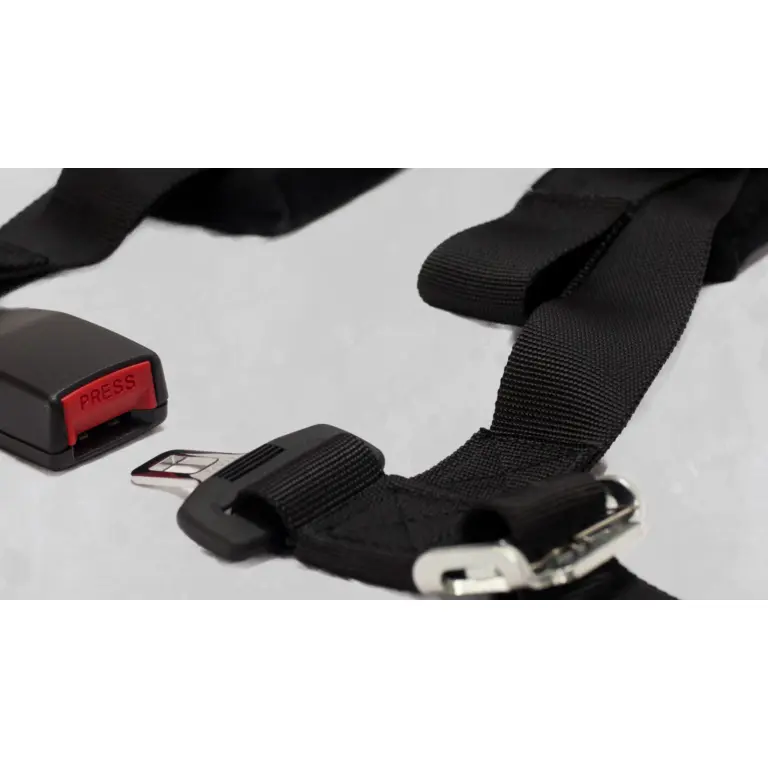 4.2 Harness, New Glory — view 5