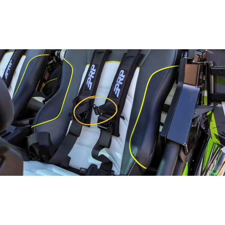 4.2 Harness, New Glory — view 6