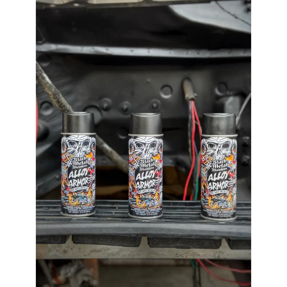 Stainless Steel Shield Paint — view 2