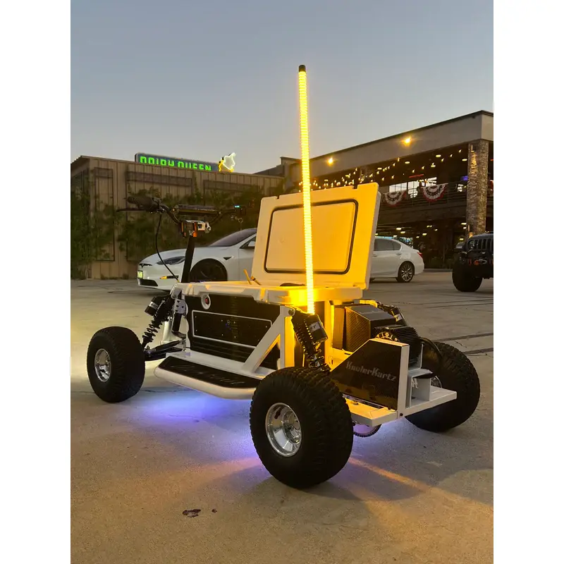 Custom Electric KoolerKart — view 6