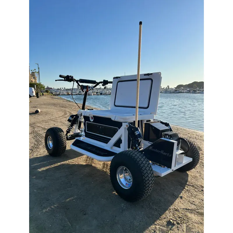 Custom Electric KoolerKart — view 7