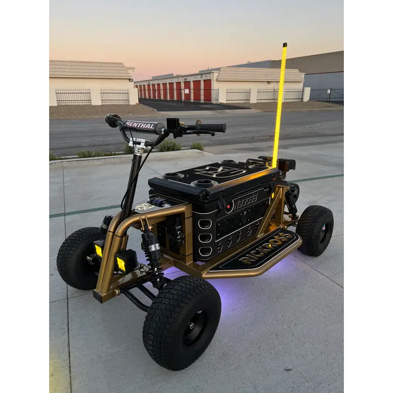 Custom Electric KoolerKart — view 10